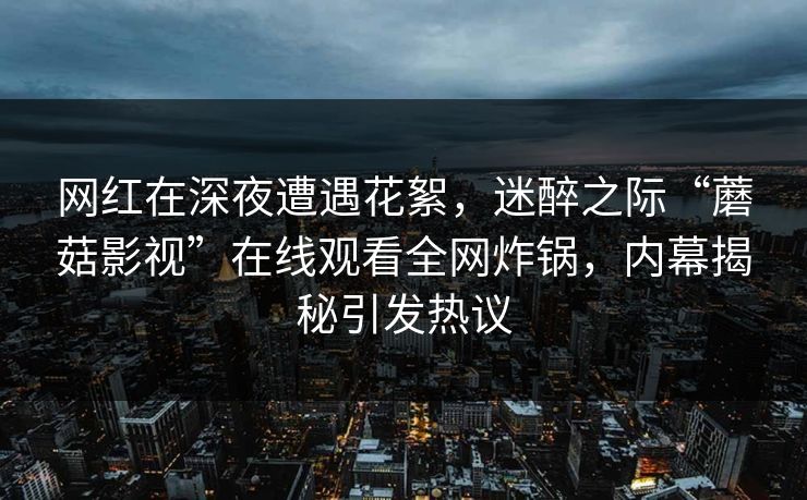 网红在深夜遭遇花絮，迷醉之际“蘑菇影视”在线观看全网炸锅，内幕揭秘引发热议