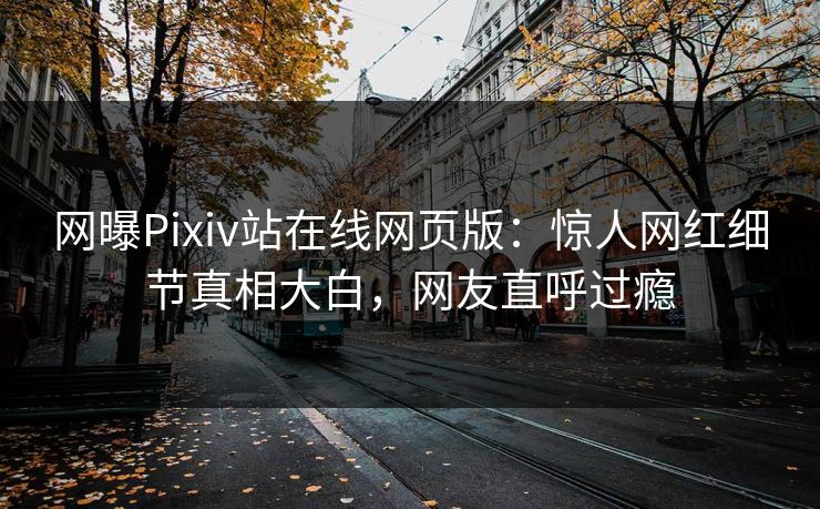 网曝Pixiv站在线网页版：惊人网红细节真相大白，网友直呼过瘾