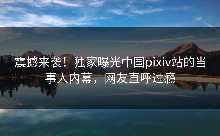 震撼来袭！独家曝光中国pixiv站的当事人内幕，网友直呼过瘾