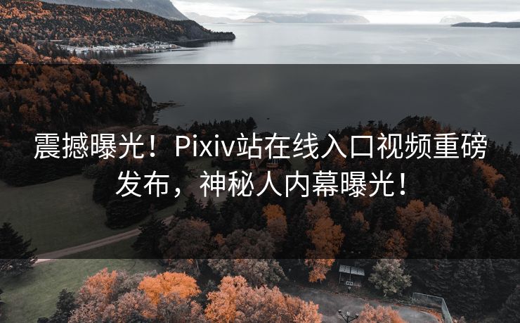 震撼曝光！Pixiv站在线入口视频重磅发布，神秘人内幕曝光！