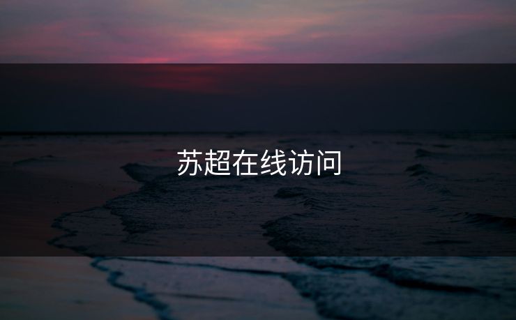 苏超在线访问