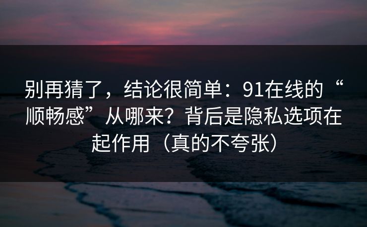 别再猜了，结论很简单：91在线的“顺畅感”从哪来？背后是隐私选项在起作用（真的不夸张）